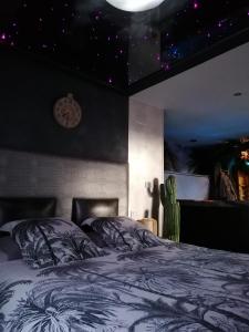 ChavelotAu clair de lune的一间卧室设有一张天星床,天花板上设有星星床