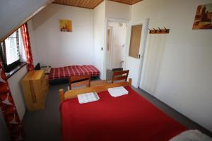 扎马迪Nefelejcs的小房间,配有床和红色毯子