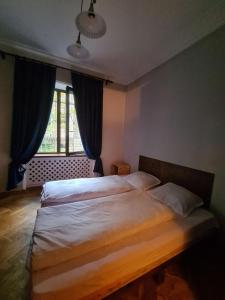 第比利斯Benevo Hostel的一间卧室设有两张床和窗户。
