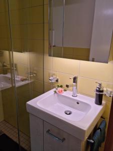 布里恩茨Gemütliche Ferienwohnung zwischen See und Bergen的浴室配有白色水槽和淋浴。