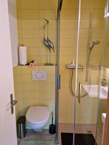 布里恩茨Gemütliche Ferienwohnung zwischen See und Bergen的一间带卫生间和淋浴的浴室