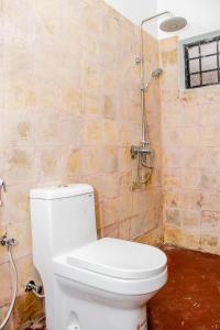 阿鲁沙Blue elephant villas的一间带卫生间和淋浴的浴室