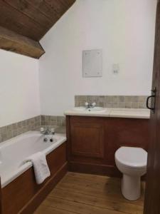 赖厄德Longhouse - Y Beudy的带浴缸、卫生间和盥洗盆的浴室