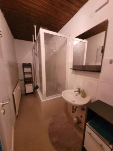 莱茵费尔登Business Apartment in Rheinfelden(Baden)的一间带水槽、淋浴和镜子的浴室