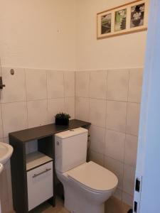 莱茵费尔登Business Apartment in Rheinfelden(Baden)的浴室配有白色卫生间和盥洗盆。