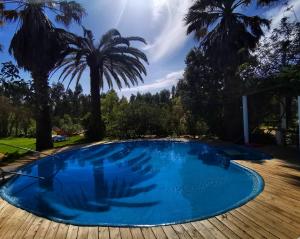 圣特奥托纽Quinta do Paraiso的一座种植了棕榈树的蓝色游泳池