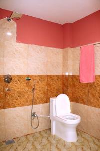 索拉哈Hotel National Park Sauraha- Homely Stay and Peaceful Location的一间带卫生间和淋浴的浴室