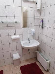 厄里圣彼得艾特勒姆艾斯潘兹欧中心酒店的一间带水槽和卫生间的浴室