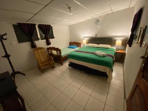 San Rafael CedrosNanda Parbat Hostal的卧室配有一张床和一张桌子及椅子