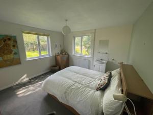 布罗肯赫斯特Secluded 3 bed cottage in private parkland的一间卧室设有一张床和两个窗户。
