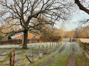 布罗肯赫斯特Secluded 3 bed cottage in private parkland的田野,有栅栏,树和谷仓