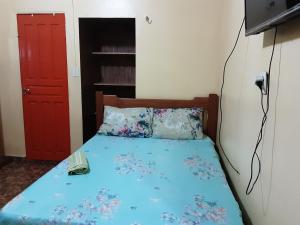 帕林廷斯Albergue Flor do Caribe的一间卧室配有一张蓝色的床和红色的门
