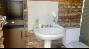 苏埃斯卡Glamping Naturaleza - mirador de la laguna de suesca的一间带水槽和卫生间的浴室