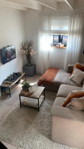 马塞克Maas Lodge的客厅配有沙发和1张床