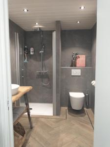 加赫B&Bslapenopeeneiland的带淋浴、卫生间和盥洗盆的浴室
