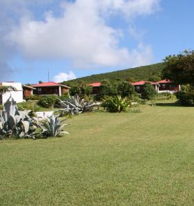 奥拉涅斯塔德Statia Lodge的一片草场,有房子的背景