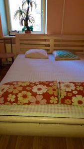 里加BalticApart Riga的卧室内的一张带两个枕头的床