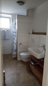 泰克山麓魏尔海姆建筑师公寓的一间带卫生间和水槽的浴室