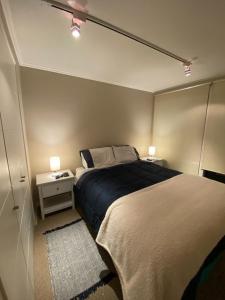 康康Maravilloso departamento con vista panorámica.的一间卧室配有一张大床、两盏灯和一张四柱床。