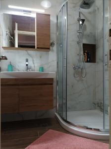 阿吉奥斯伊欧尼斯Alisaxni Seaside Studio的一间带玻璃淋浴和水槽的浴室