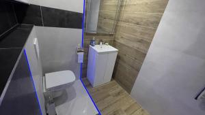 阿斯隆#1 TGHA Luxury Studio Apartment in Athlone的一间带卫生间和水槽的小浴室