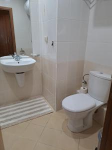 波罗维茨Rista apartment, Villa Park的一间带卫生间和水槽的浴室