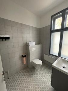 LevélDream Apartman的一间带卫生间和水槽的浴室