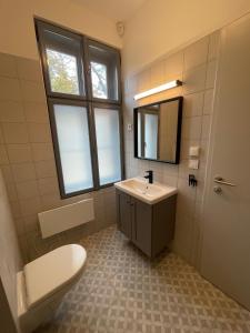 LevélDream Apartman的一间带水槽、卫生间和镜子的浴室