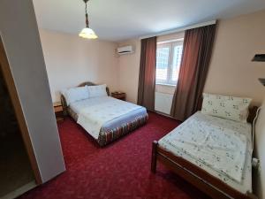 乌罗舍瓦茨Holiday的酒店客房设有两张床和窗户。