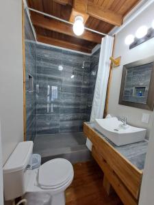 乌蒂拉The Odyssey Resort Utila的浴室配有卫生间、盥洗盆和淋浴。
