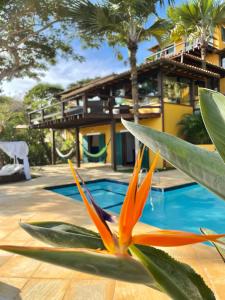 布希奥斯FERRADURA EXCLUSIVE SEaVIEW的从种植了植物的游泳池欣赏到房子的景色