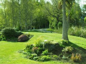 蒂阿瑙The Garden Room at Te Anau Country Accommodation的种有棕榈树和一些花卉的花园