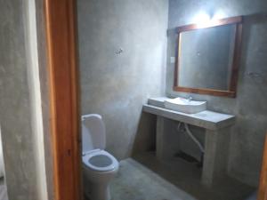 RattotaRiverston Du Eco Cottage的一间带卫生间、水槽和镜子的浴室