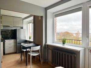 AizkraukleAizkraukle Penthouse apartment的厨房配有小桌子和窗户。