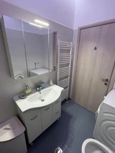 雅典Comfy big apartment in Athens的浴室设有白色水槽和镜子