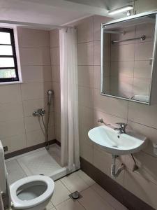雅典Comfy big apartment in Athens的浴室配有卫生间、盥洗盆和淋浴。