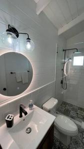 TamaniqueTreehouse的一间带水槽、卫生间和镜子的浴室