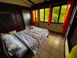 福尔图纳Princesa de la Luna Ecolodge的一间卧室设有一张床和两个窗户。