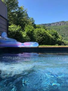 博尔莱奥尔盖Villa avec piscine, terrasse, jardin et vue…的排满木筏和充气的水池