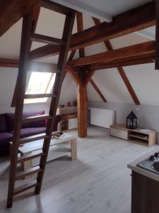 AlbrechticePension Novy Den的客厅设有木制天花板和梯子
