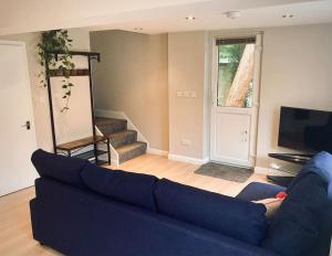 法纳姆Owl Tree Cottage with access to Alice Holt的客厅配有蓝色的沙发和电视
