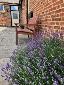 卢顿Hyde Mill的木凳,坐在砖砌的紫色花房旁边