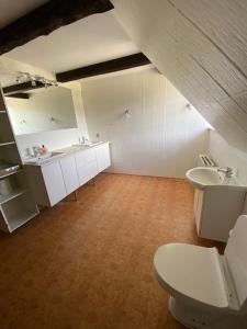 赫尔辛厄Dyrlundgaard tilbyder charmerende ferielejlighed.的一间带卫生间和水槽的浴室