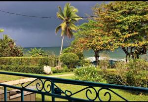 克里比OCEAN-SI MAnsion的阳台享有海景,种植了棕榈树。