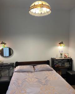 敖德萨Атмосферная квартира в центре Одессы的一间卧室配有一张床和一个吊灯