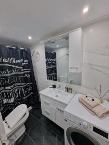 雅典Luxury apartment in Sepolia的一间带水槽、卫生间和镜子的浴室