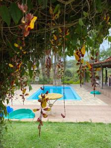 伊图CHÁCARA GODOI - Meu Paraíso的一堆水果挂在泳池旁的树上