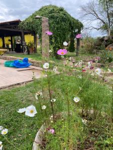 伊图CHÁCARA GODOI - Meu Paraíso的草上花白粉色的花园