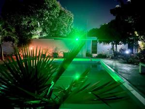 威廉斯塔德幸福之龟公寓的夜晚带绿灯的游泳池