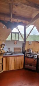 CurarrehueNido del Quetrupillan Domo Geodésico的厨房配有炉灶和水槽